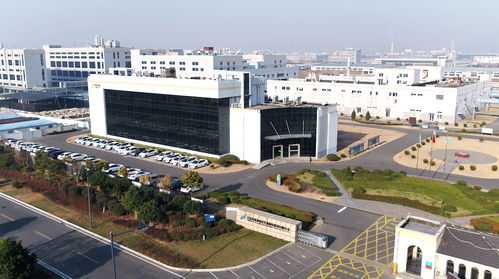 諾泰生物董事長(zhǎng)童梓權(quán) 在行業(yè)激流中錨定“小而美”，以專注鍛造生物科技韌性