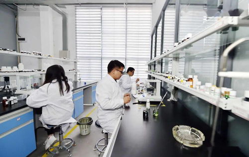 工業(yè)遺產(chǎn)蝶變記 昆明茨壩生物科技小鎮(zhèn)，打造生命科學(xué)新引擎