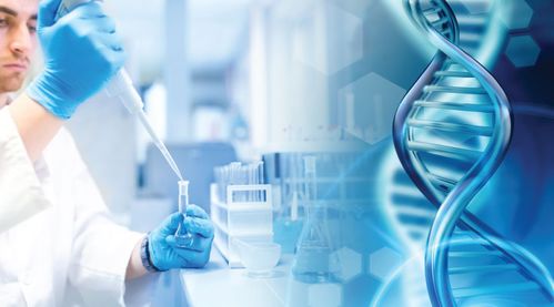 兩地生物科技合作 聯(lián)合發(fā)力，共筑生命科學(xué)新未來(lái)